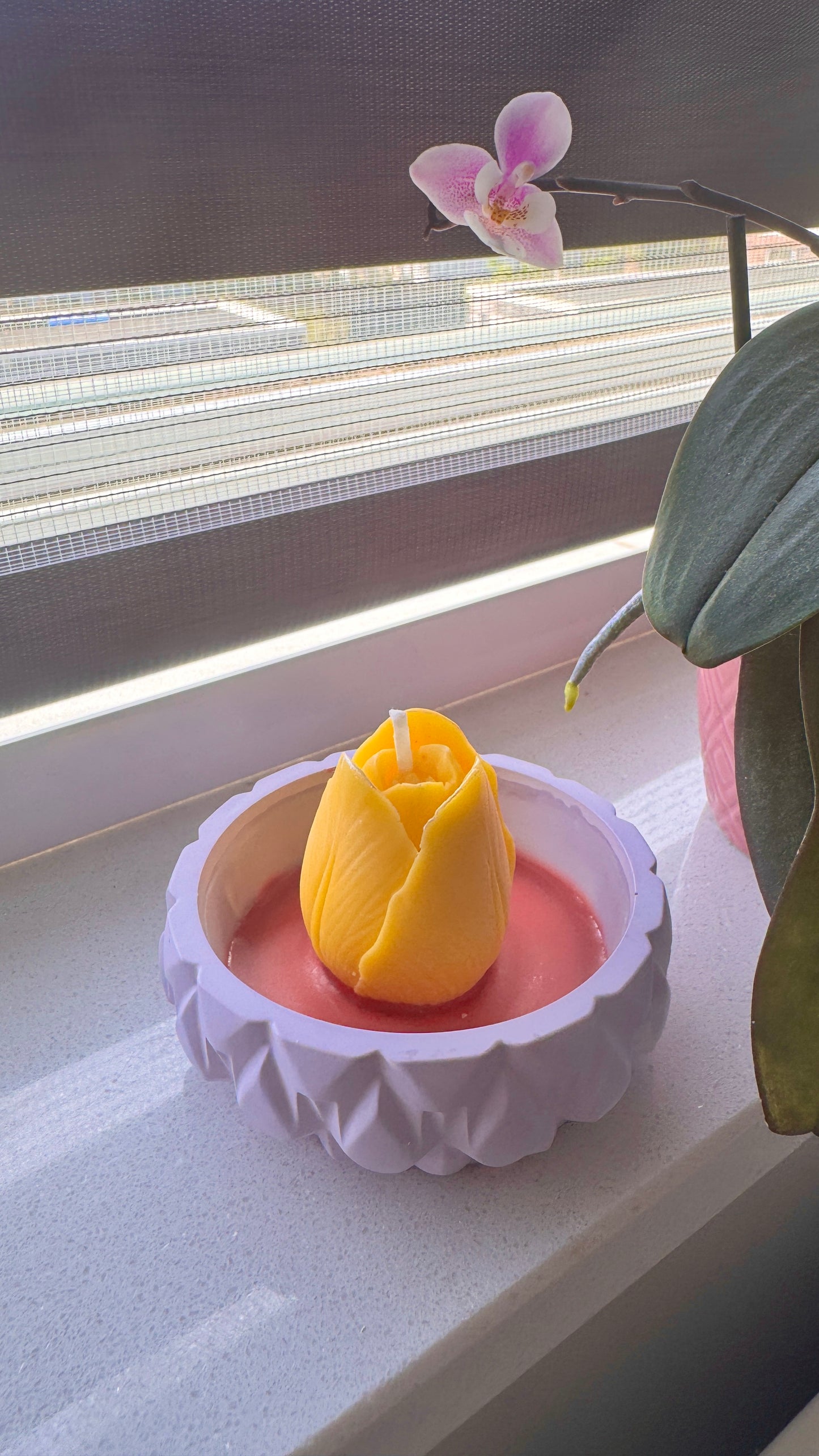 Tulip Flame