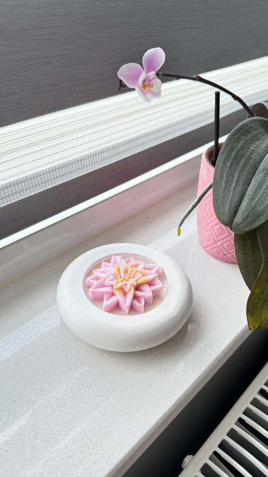 Lotus Moment