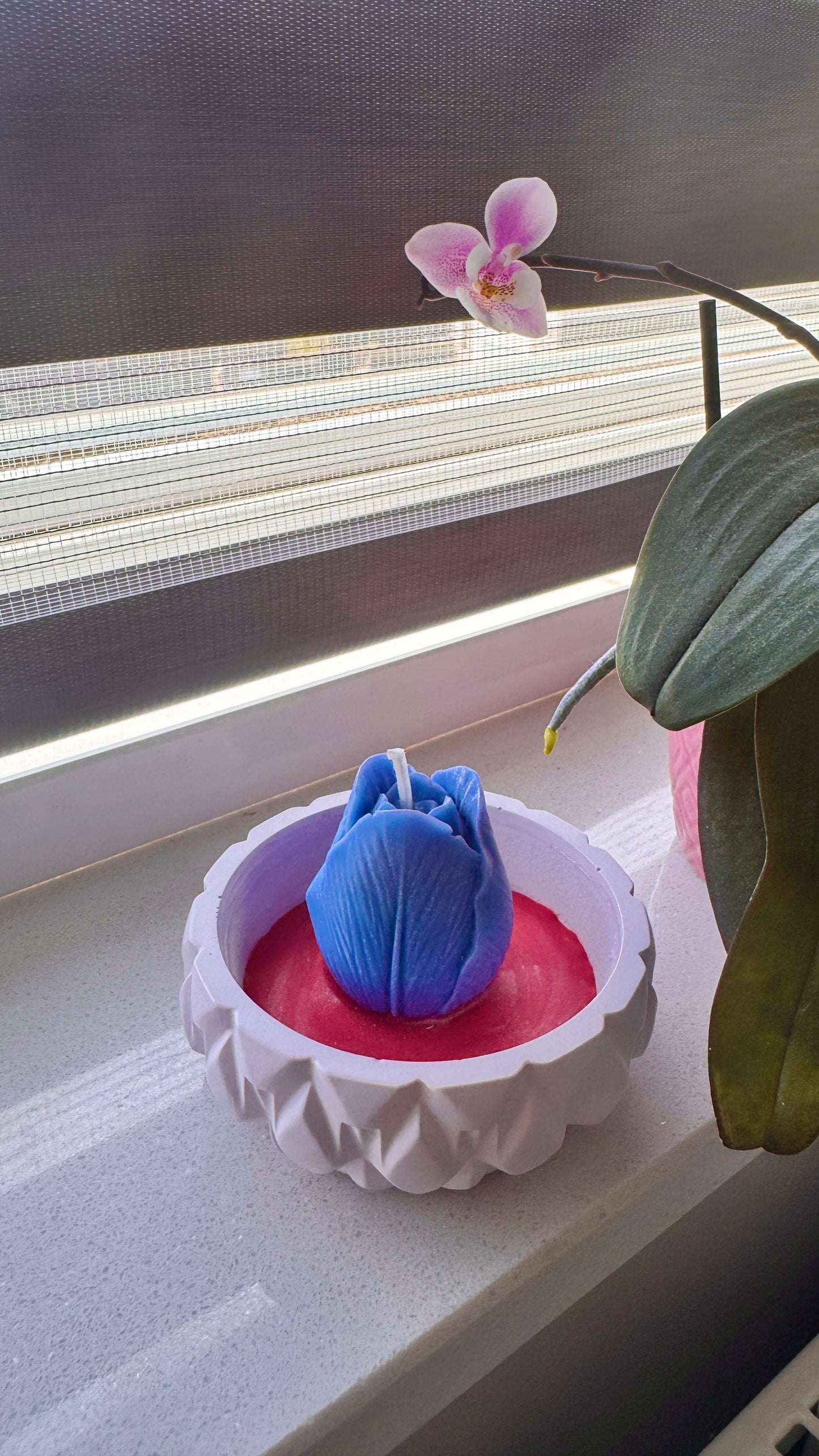 Tulip Flame