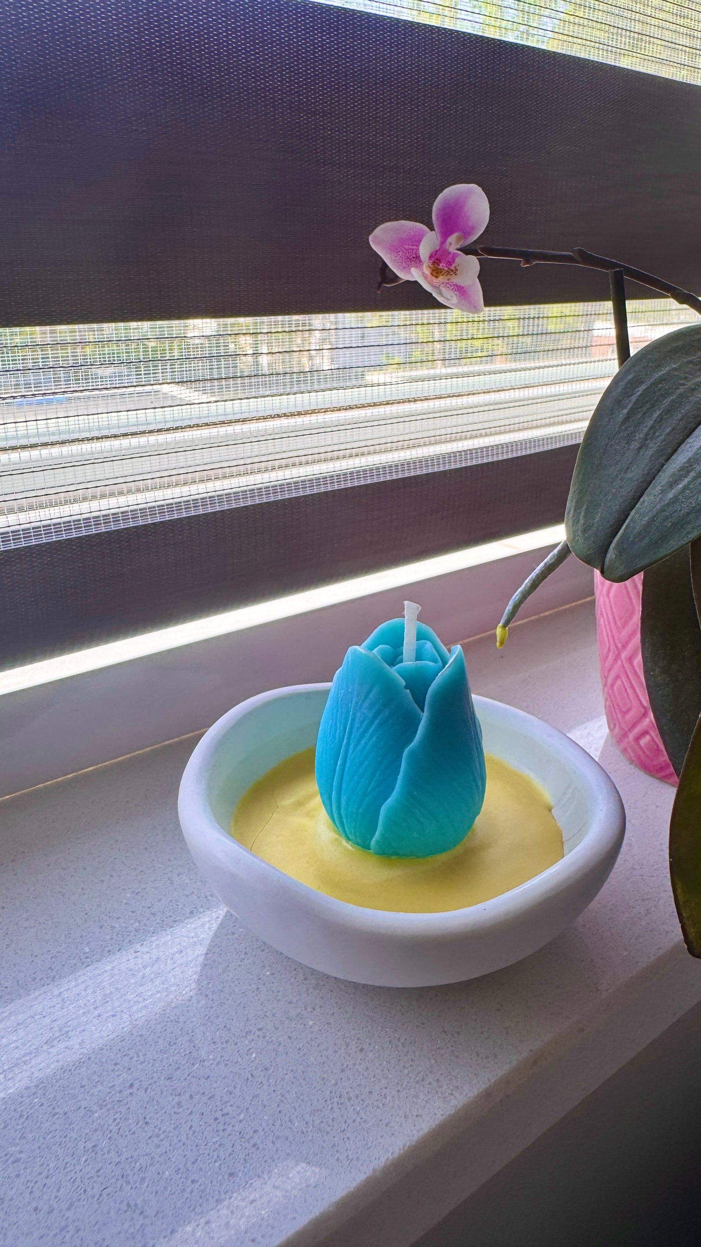 Tulip Flame